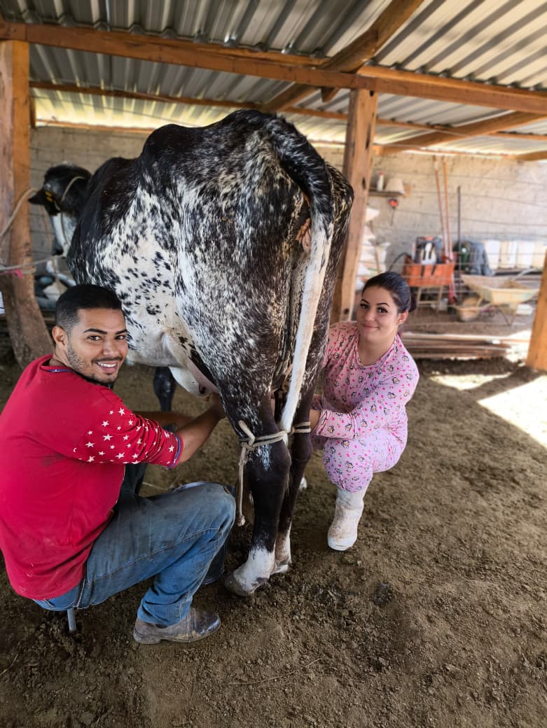 Nossa Rotina na Fazenda: A Beleza da Ordenha Manual ao Amanhecer