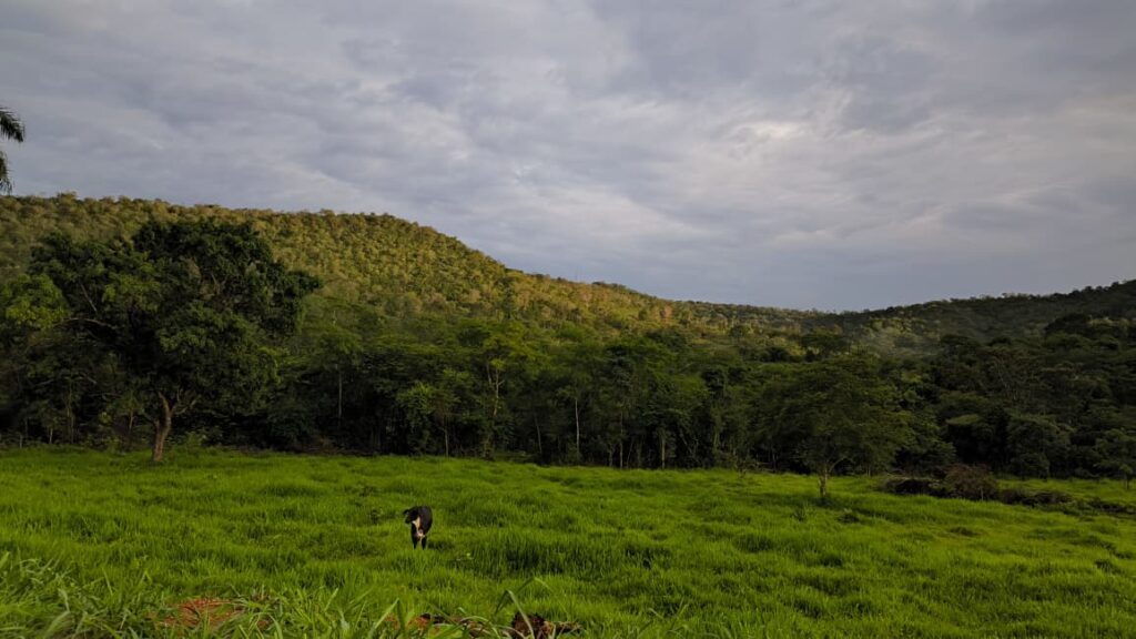 Amanhecer na fazenda