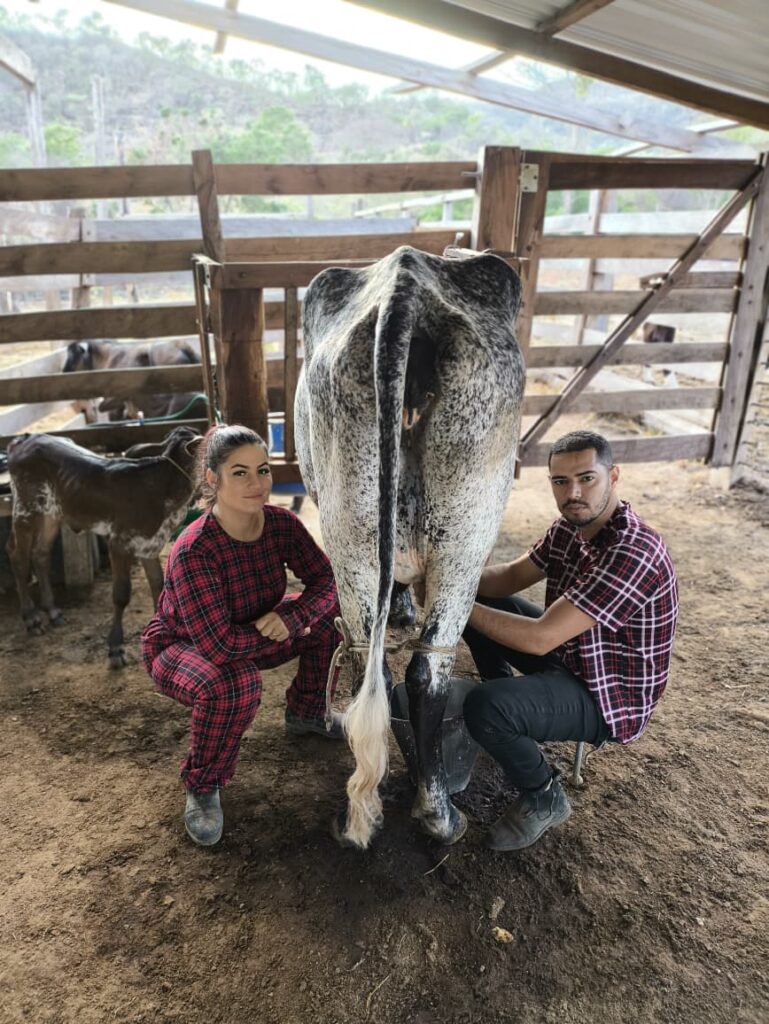 Casal cuidando dos animais na rotina diária da fazenda