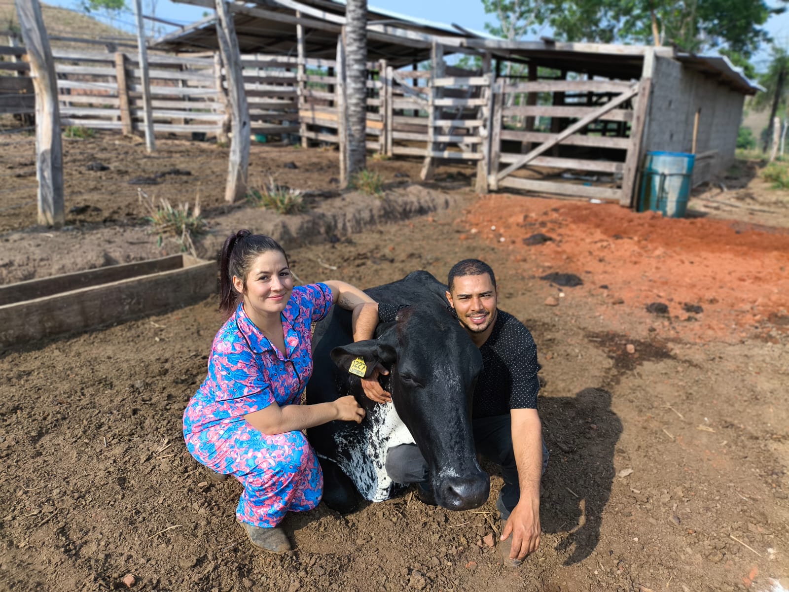 Casal cuidando dos animais na fazenda