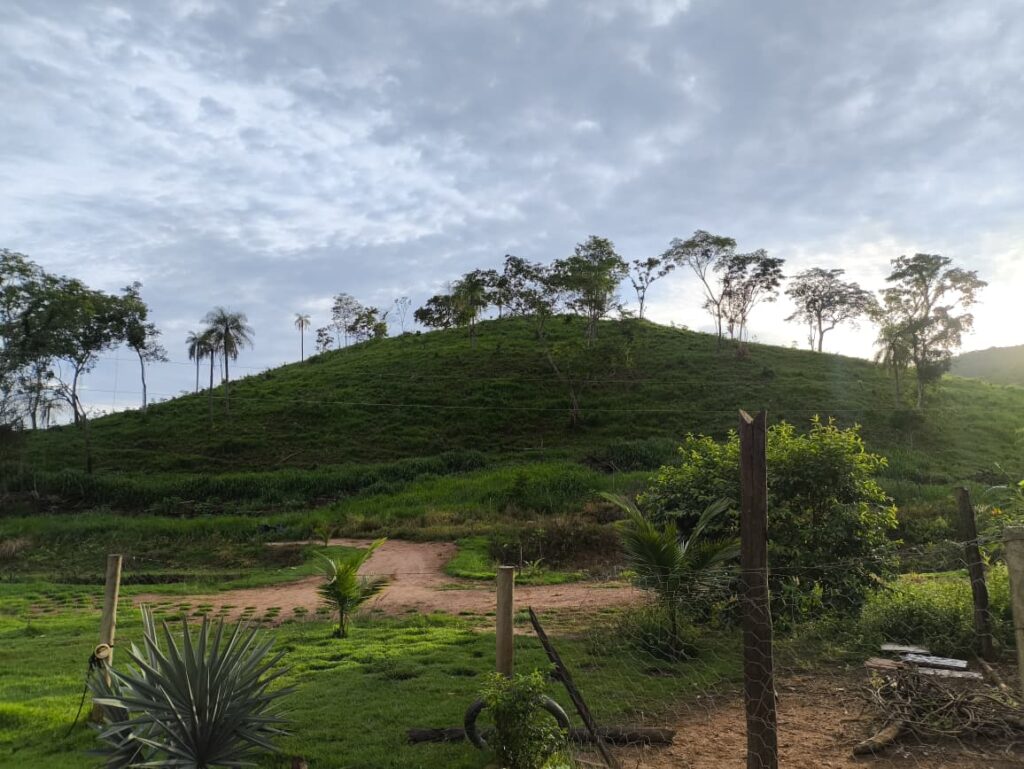 Paisagem verde da Fazenda Mundo Perfeito ao amanhecer