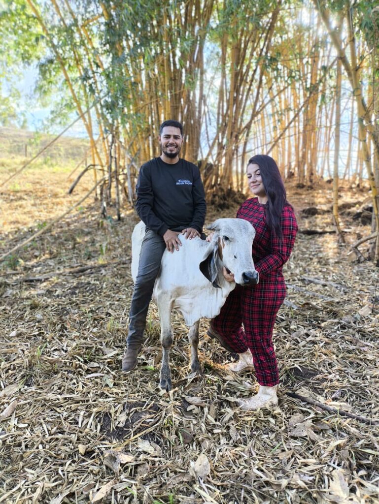 Casal cuidando dos animais na rotina diária da fazenda