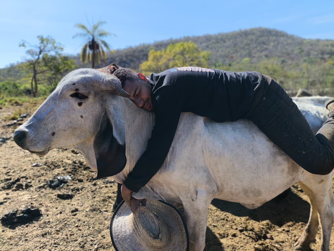 Carinho e Cuidado: A Base de Tudo Aqui na Fazenda